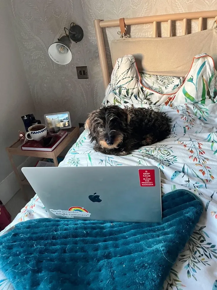 My dog keeping me company behind an open laptop